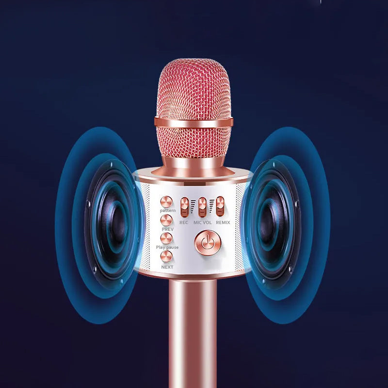 KING LUCKY - WS858 2 in 1 Microphone